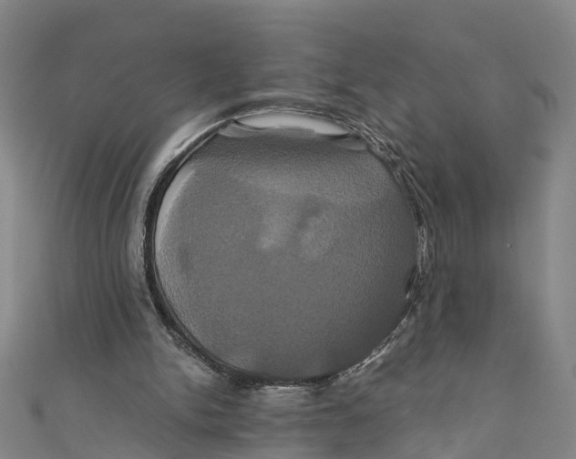 X0000110990150200907101438