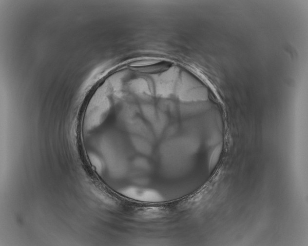 X0000110990151200907101438