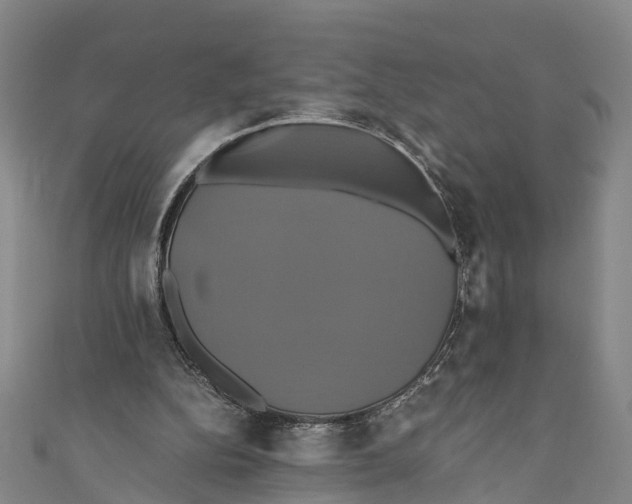 X0000110990152200907101438