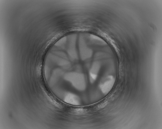 X0000110990153200907101438