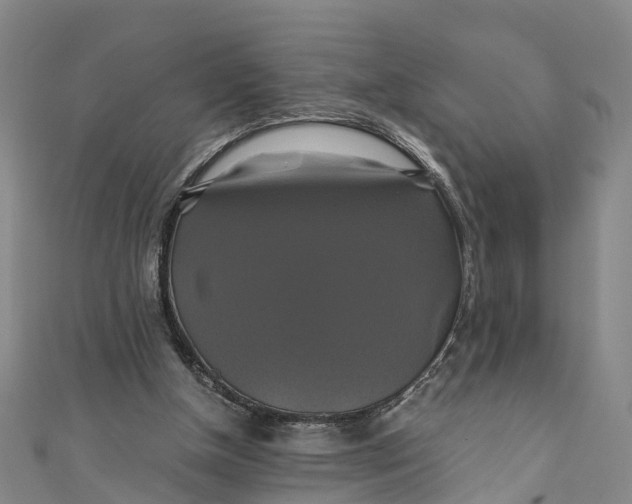 X0000110990154200907101438