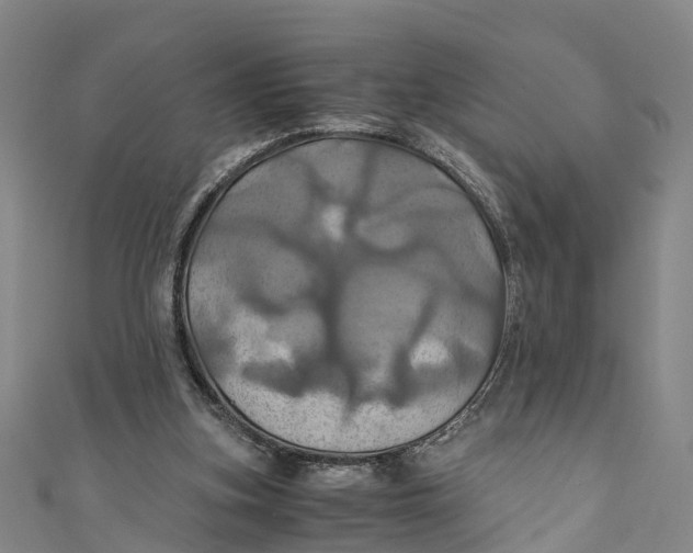 X0000110990155200907101438