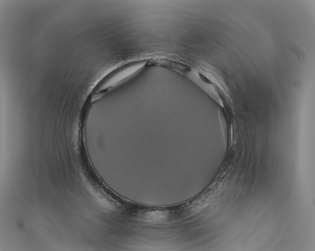 X0000110990156200907101438