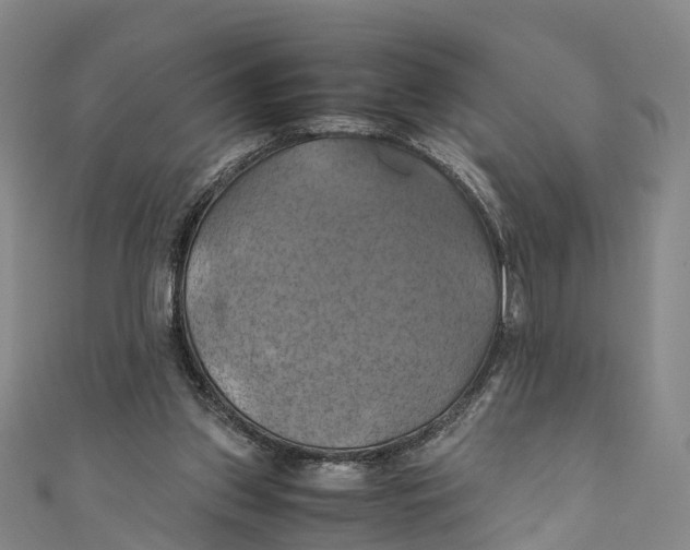 X0000110990157200907101438