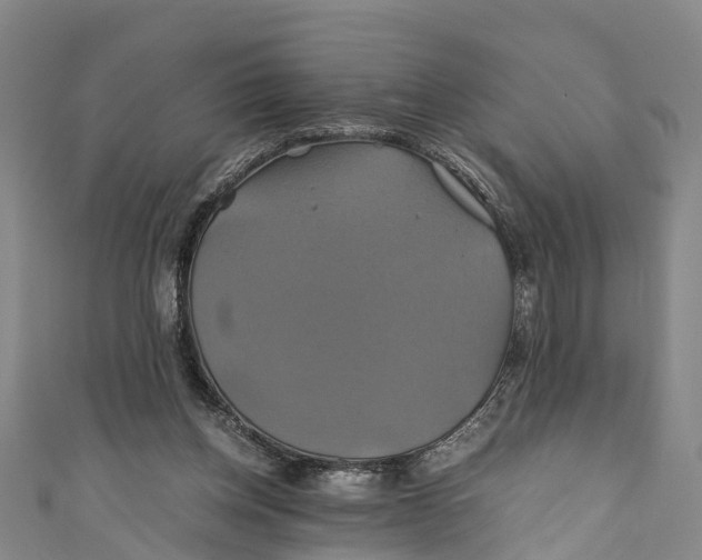 X0000110990158200907101438