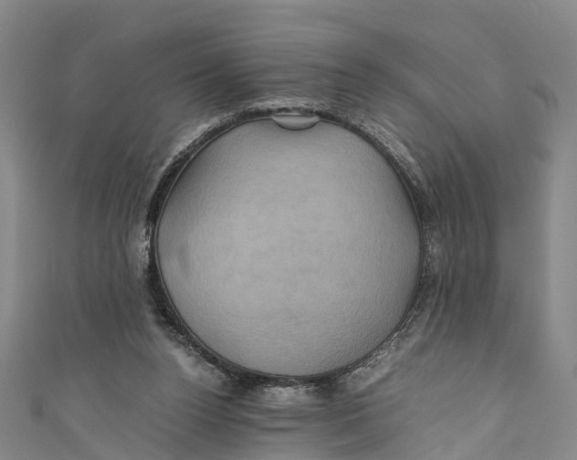X0000110990160200907101438