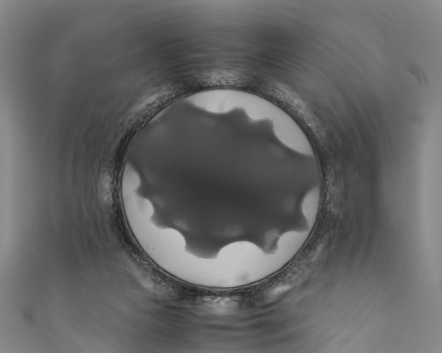 X0000110990161200907101438