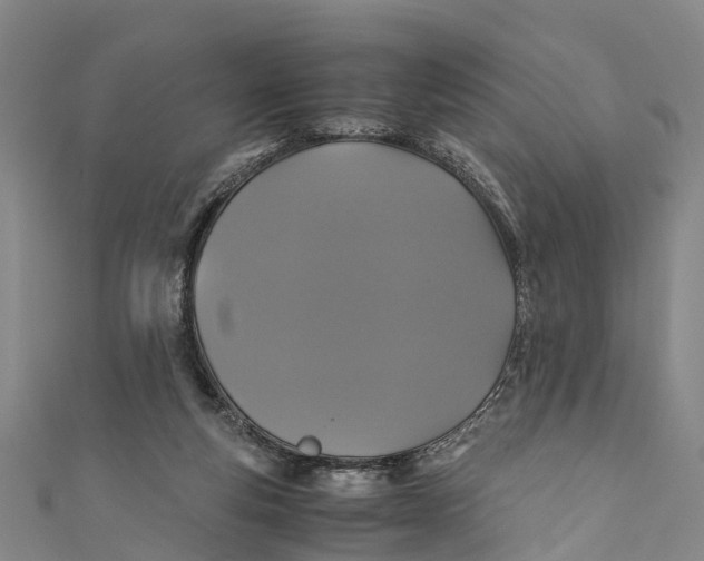 X0000110990163200907101438