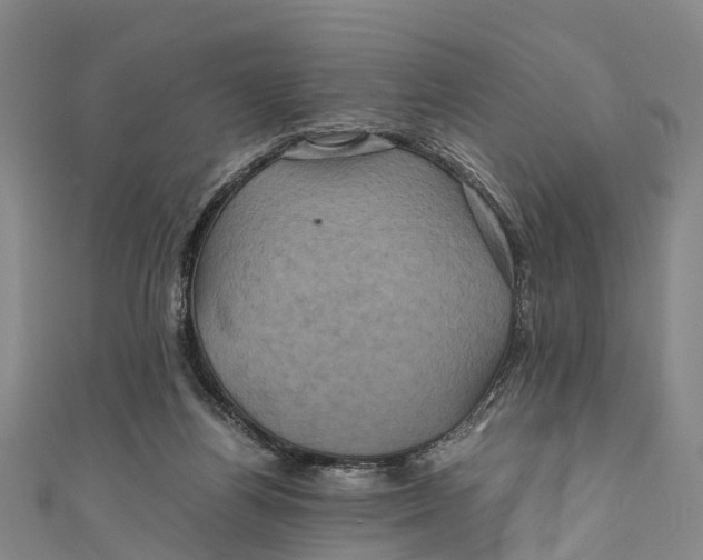 X0000110990164200907101438