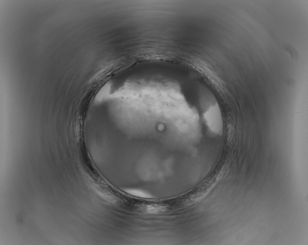 X0000110990165200907101438