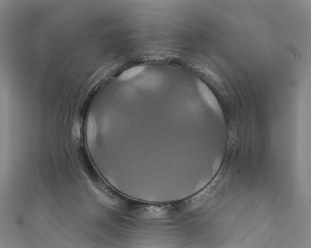 X0000110990166200907101438