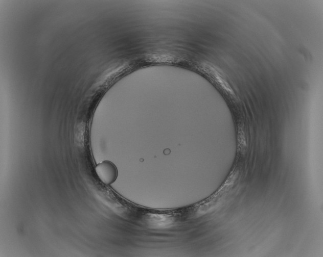 X0000110990167200907101438