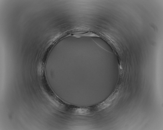 X0000110990168200907101438