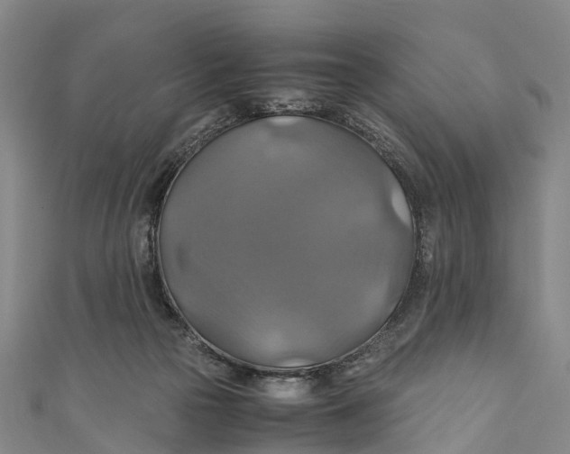 X0000110990169200907101438