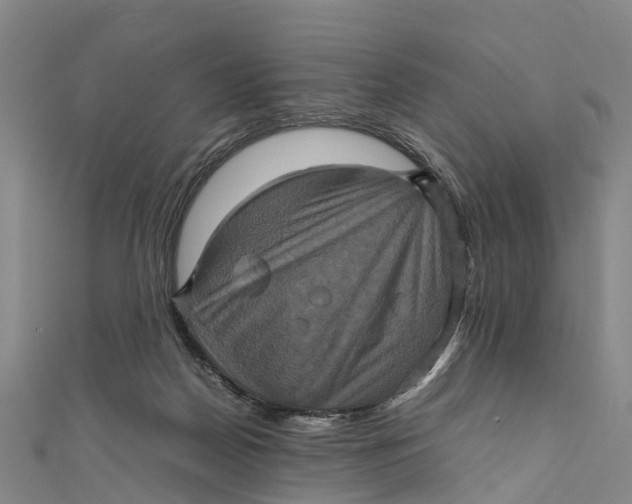 X0000110990170200907101438