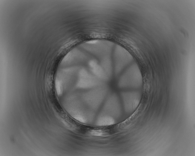 X0000110990171200907101438