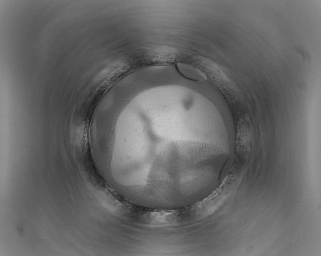 X0000110990172200907101438