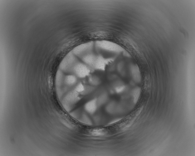 X0000110990173200907101438
