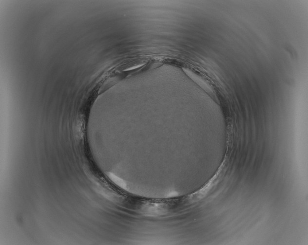 X0000110990174200907101438