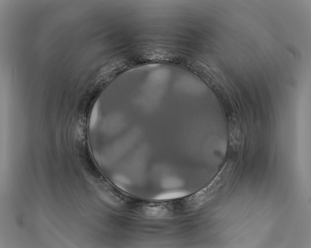 X0000110990175200907101438