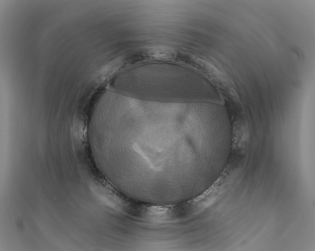 X0000110990176200907101438