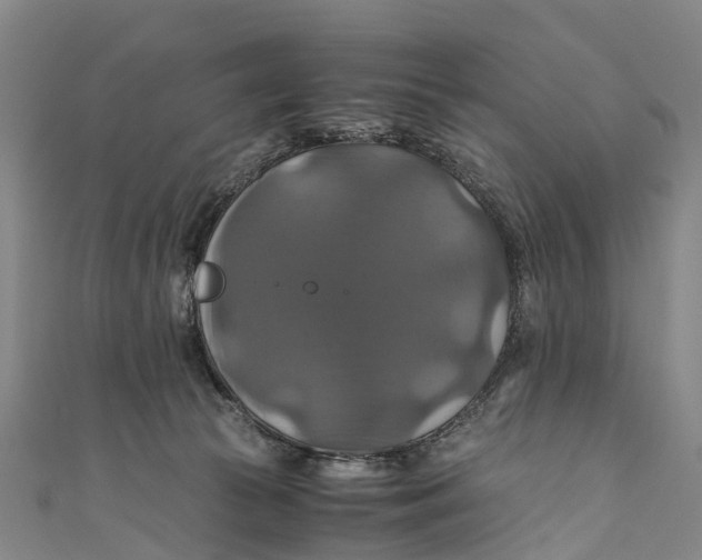 X0000110990177200907101438