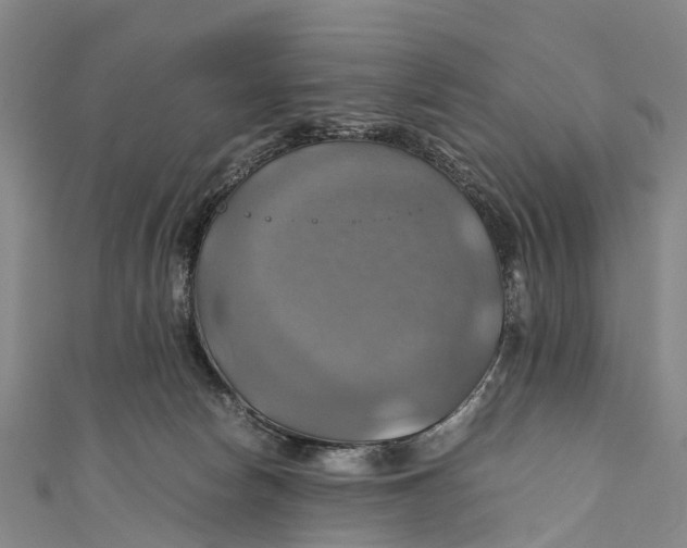 X0000110990178200907101438