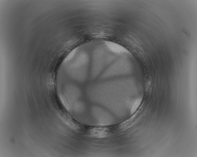 X0000110990179200907101438