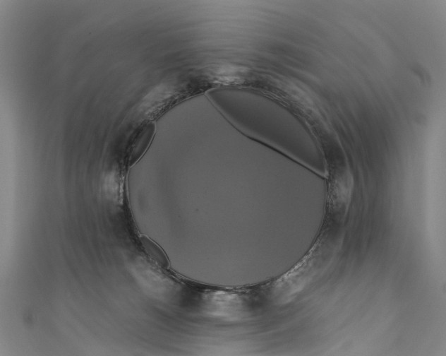 X0000110990180200907101438