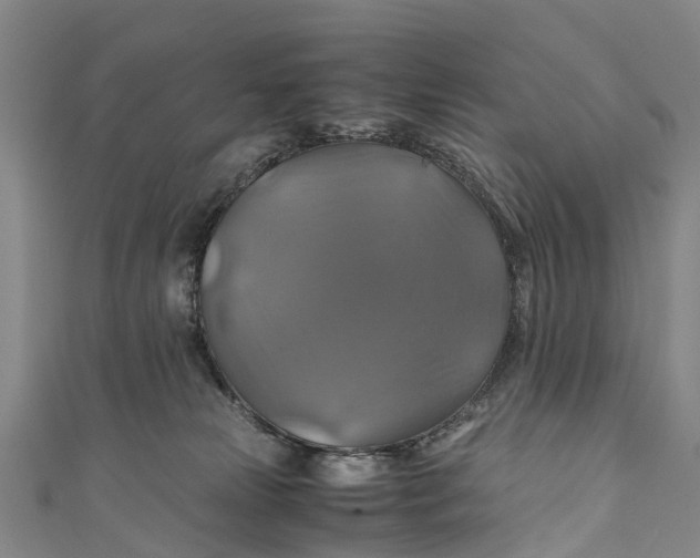 X0000110990181200907101438