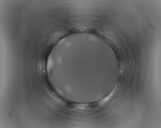 X0000110990182200907101438