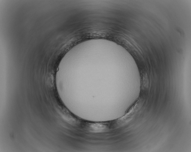 X0000110990183200907101438