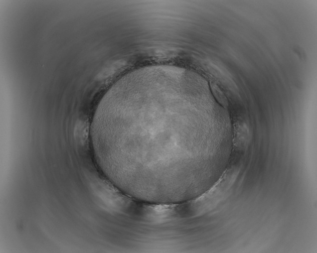 X0000110990184200907101438