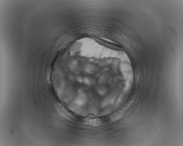 X0000110990185200907101438