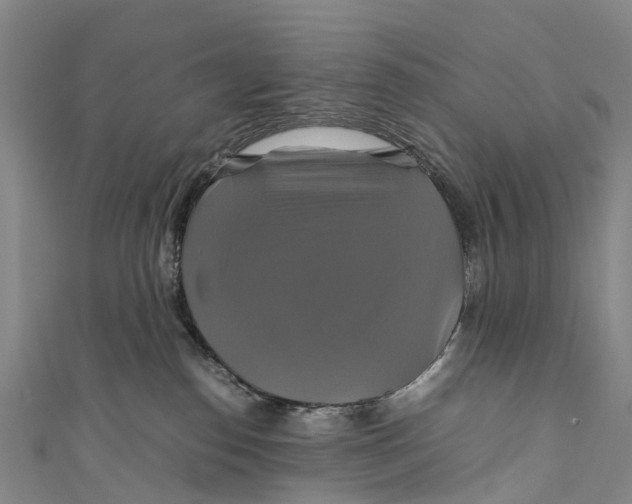 X0000110990186200907101438