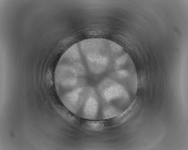 X0000110990187200907101438