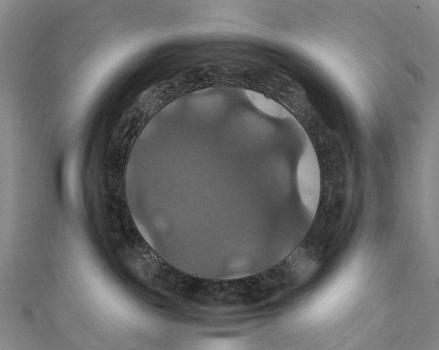 X0000110990189200907101438