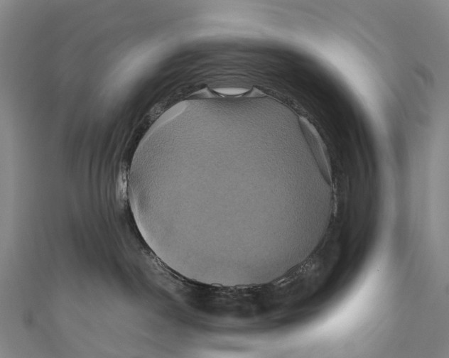 X0000110990190200907101438