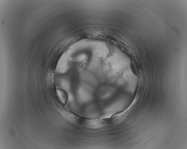 X0000110990191200907101438