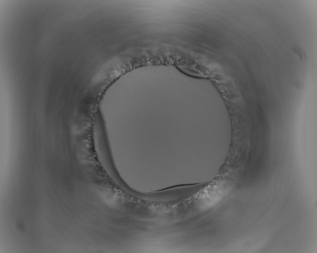 X0000110990192200907101438