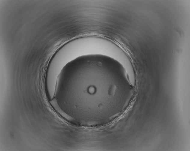 X0000110990193200907101438