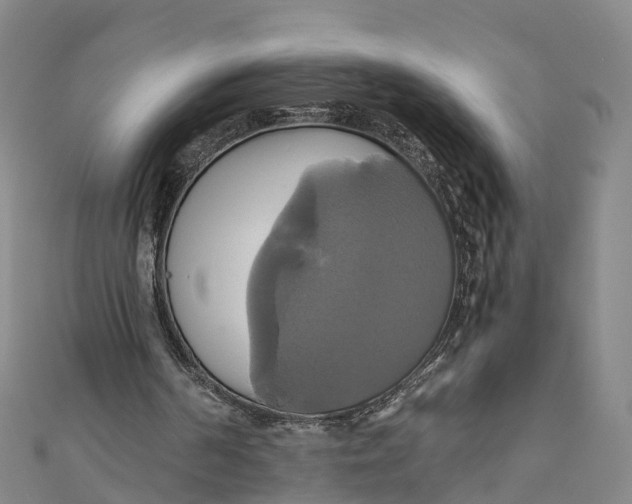 X0000110990194200907101438