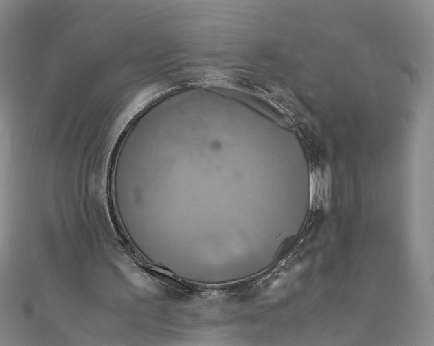 X0000110990195200907101438