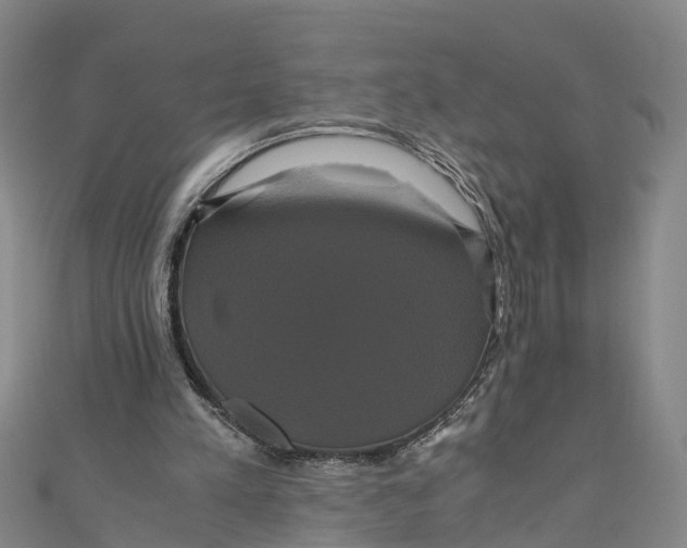 X0000110990197200907101438