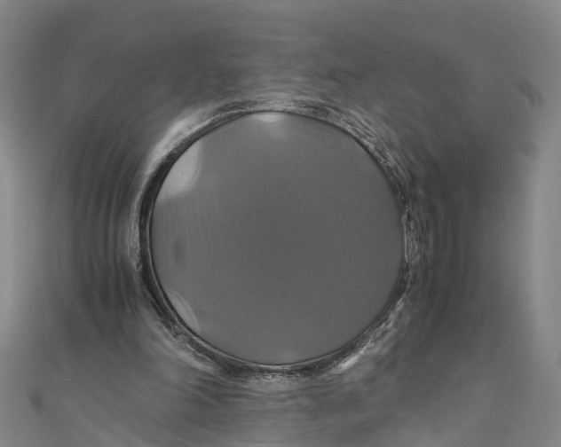 X0000110990198200907101438