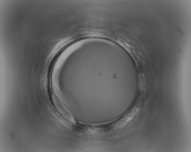 X0000110990199200907101438