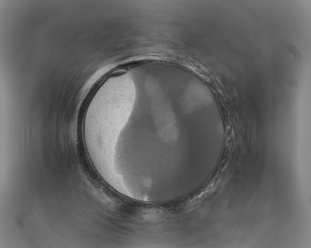 X0000110990200200907101438