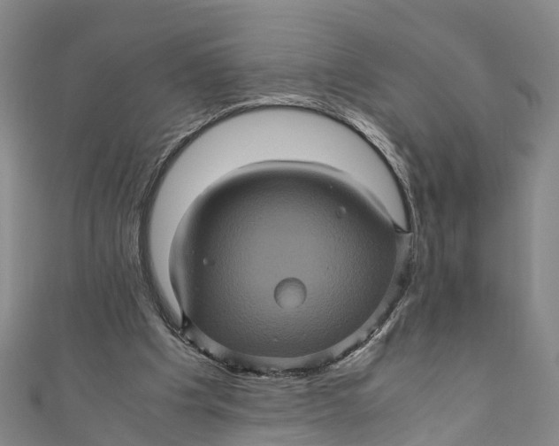 X0000110990201200907101438