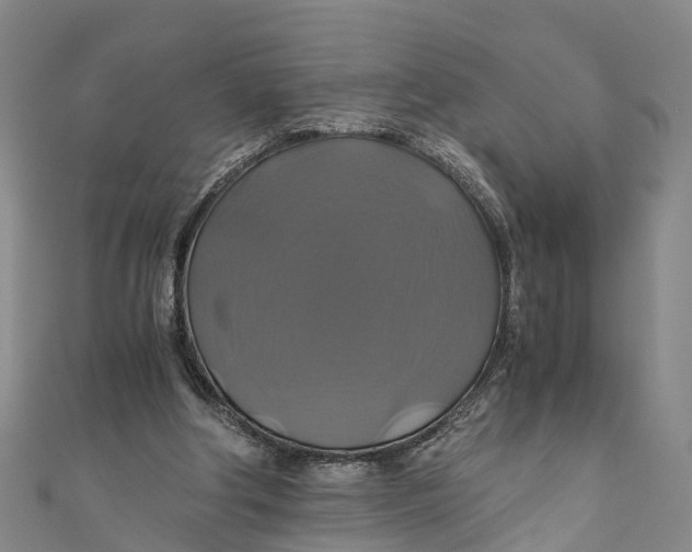 X0000110990202200907101437