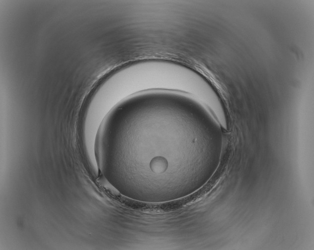 X0000110990203200907101437